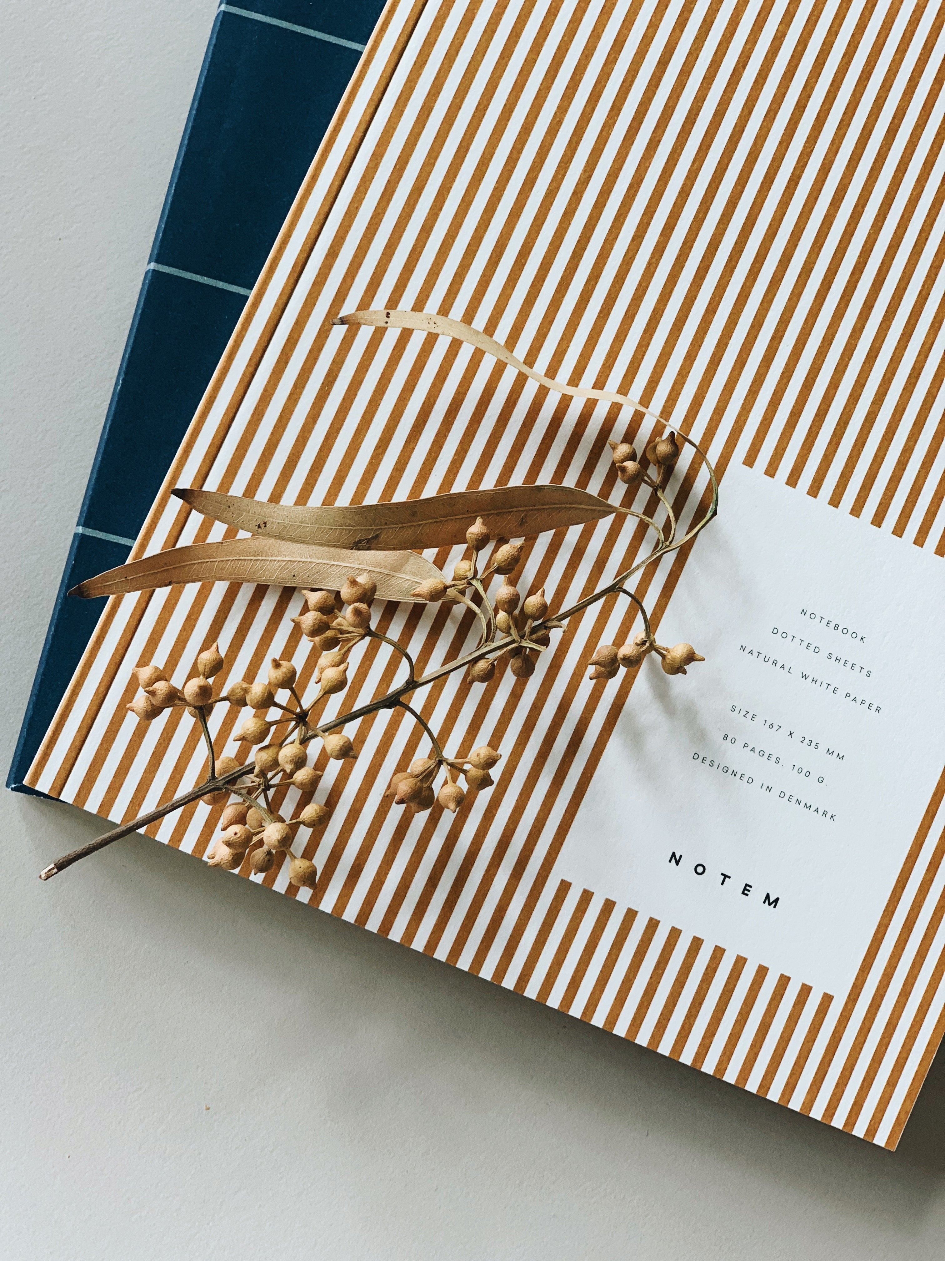 VITA notesbog, medium - Ochre Lines